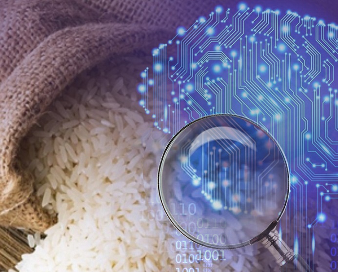 کاربرد هوش مصنوعی در تشخیص اقلام برنج